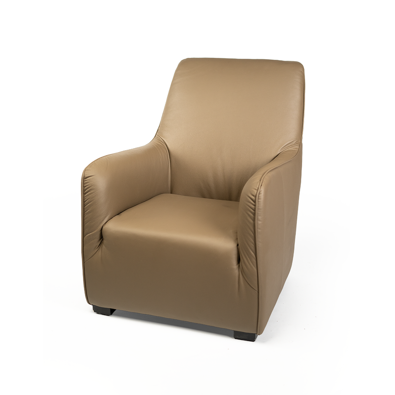 LOUNGE CHAIR XC009