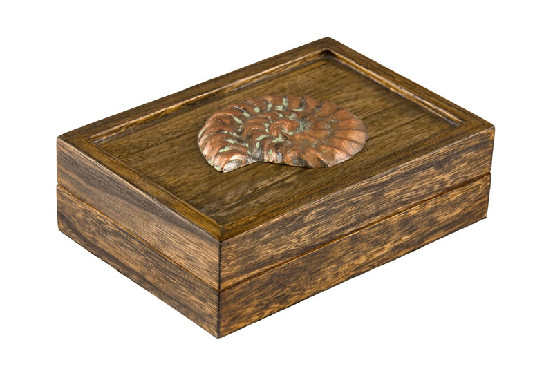 Box HA13099